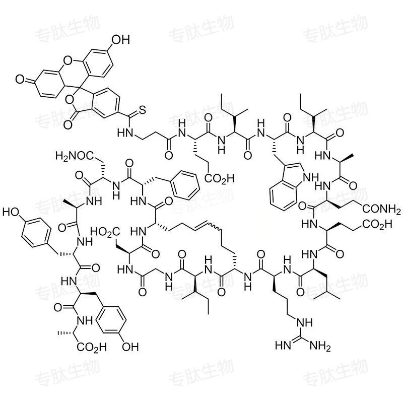 专肽生物产品BIM (FITC)