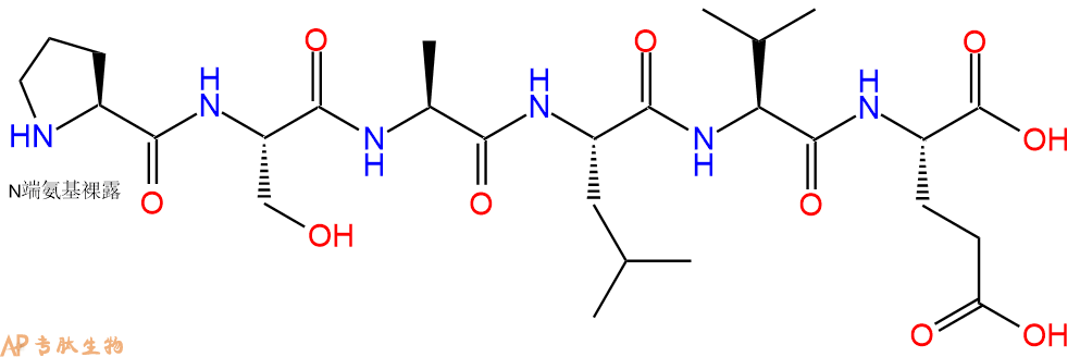 多肽PSALVE的参数和合成路线|三字母为Pro-Ser-Ala-Leu-Val-Glu|专肽生物产