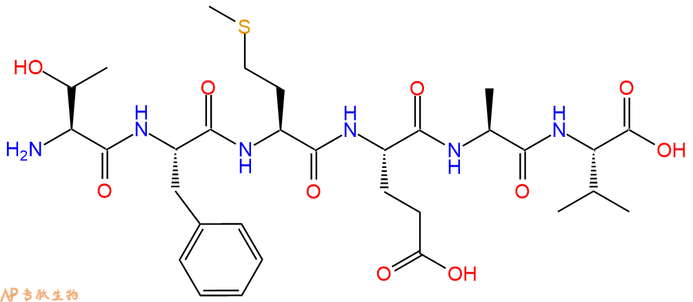 多肽TFMEAV的参数和合成路线|三字母为Thr-Phe-Met-Glu-Ala-Val|专肽生物产