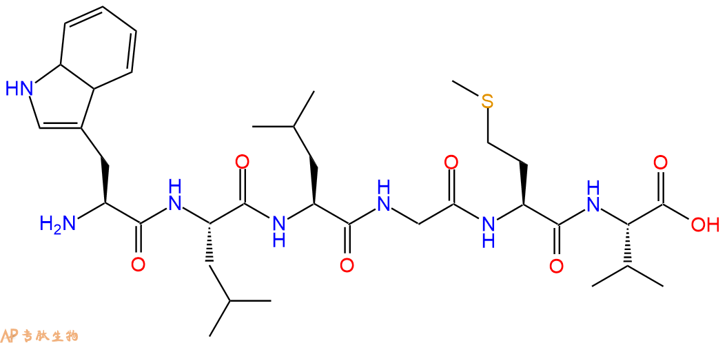多肽WLLGMV的参数和合成路线|三字母为Trp-Leu-Leu-Gly-Met-Val|专肽生物产