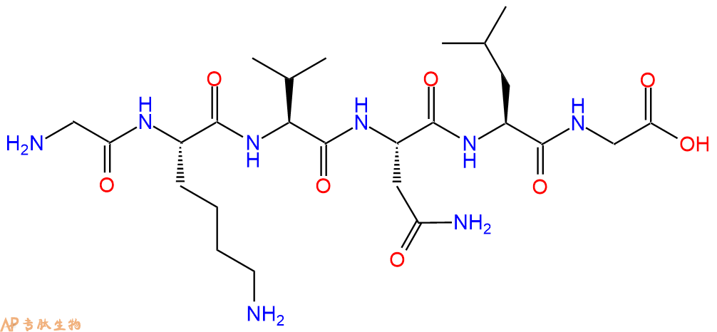 多肽GKVNLG的参数和合成路线|三字母为Gly-Lys-Val-Asn-Leu-Gly|专肽生物产