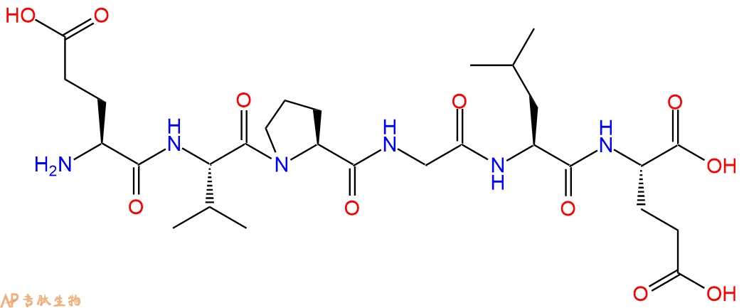 多肽EVPGLE的参数和合成路线|三字母为Glu-Val-Pro-Gly-Leu-Glu|专肽生物产