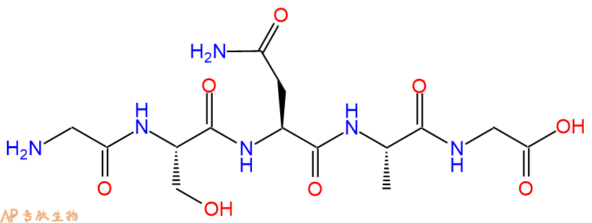 专肽生物产品五肽Gly-Ser-Asn-Ala-Gly137428-63-8
