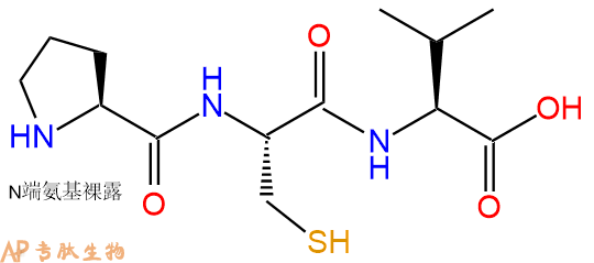专肽生物产品三肽Pro-Cys-Val
