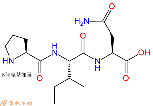 专肽生物产品三肽Pro-Ile-Asn