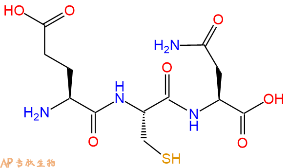 专肽生物产品三肽Glu-Cys-Asn