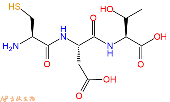 专肽生物产品三肽Cys-Asp-Thr