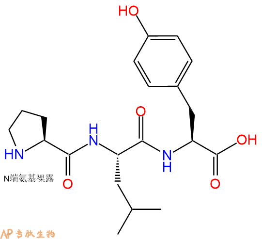 专肽生物产品三肽Pro-Leu-Tyr