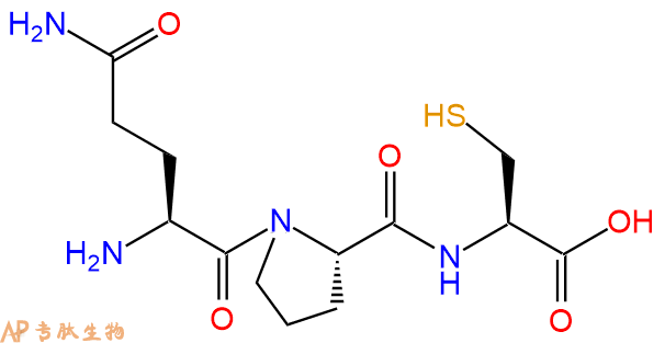 专肽生物产品三肽Gln-Pro-Cys