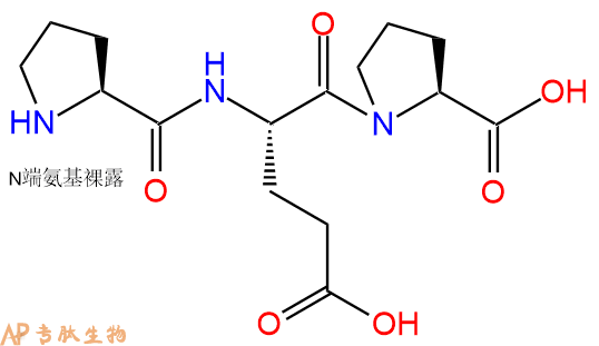 专肽生物产品三肽Pro-Glu-Pro
