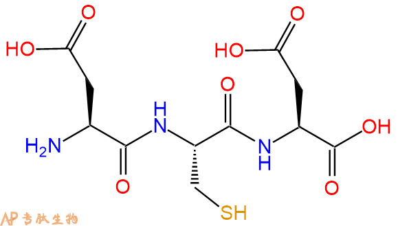 专肽生物产品三肽Asp-Cys-Asp