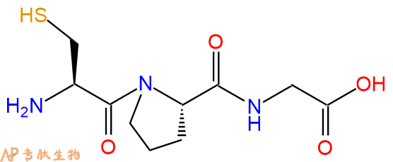 专肽生物产品三肽Cys-Pro-Gly