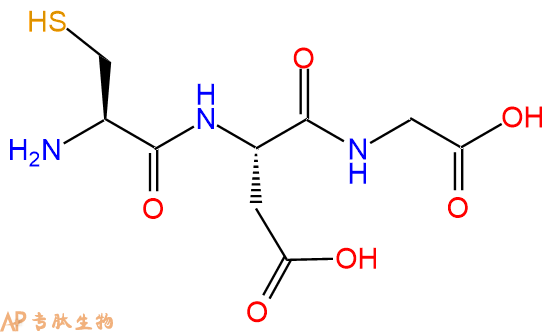 专肽生物产品三肽Cys-Asp-Gly