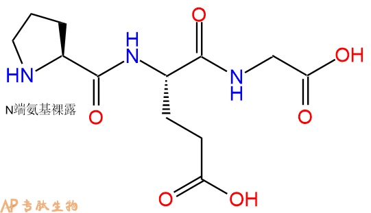 专肽生物产品三肽Pro-Glu-Gly