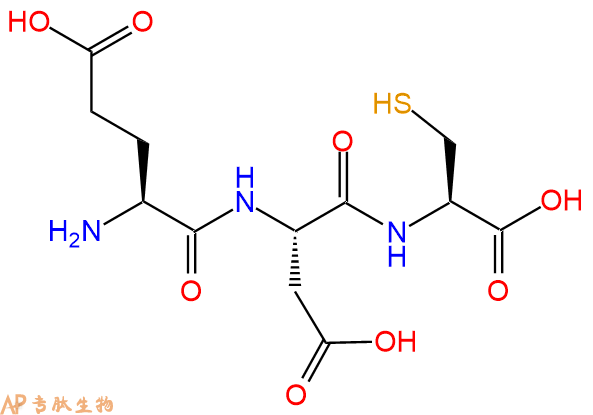 专肽生物产品三肽Glu-Asp-Cys
