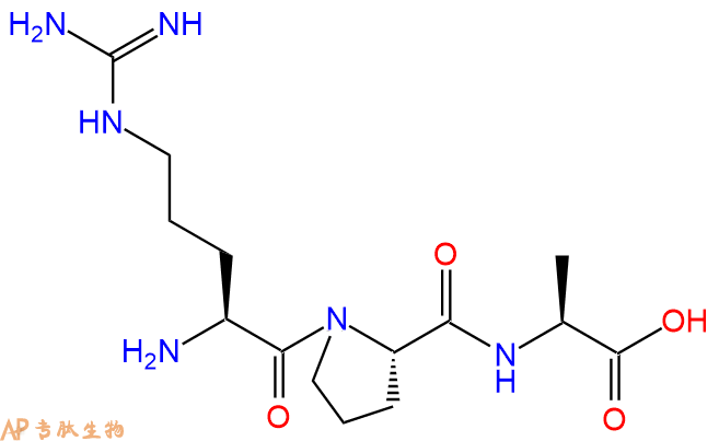 专肽生物产品三肽Arg-Pro-Ala