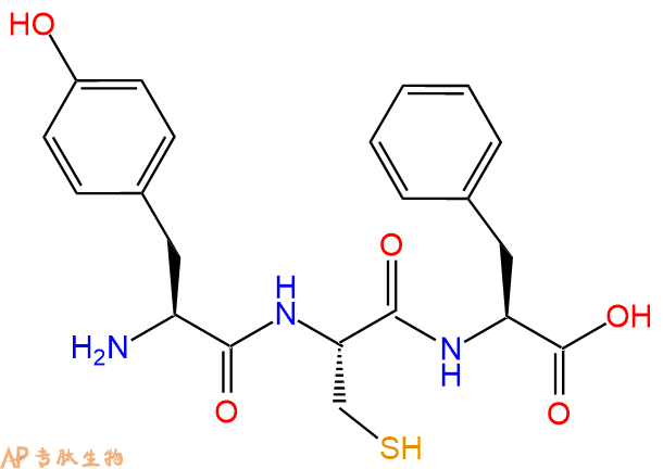 专肽生物产品三肽Tyr-Cys-Phe