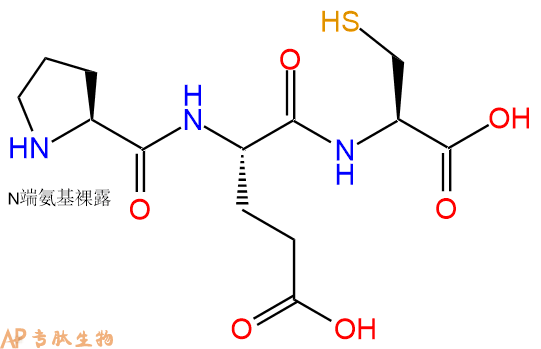 专肽生物产品三肽Pro-Glu-Cys