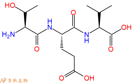 专肽生物产品三肽Thr-Glu-Val
