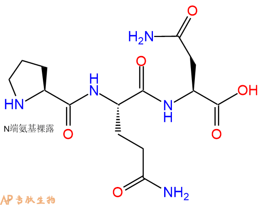 专肽生物产品三肽Pro-Gln-Asn