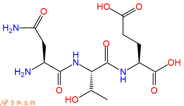 专肽生物产品三肽Asn-Thr-Glu
