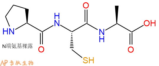 专肽生物产品三肽Pro-Cys-Ala