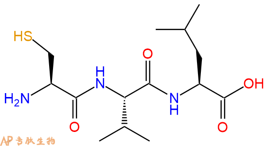 专肽生物产品三肽Cys-Val-Leu