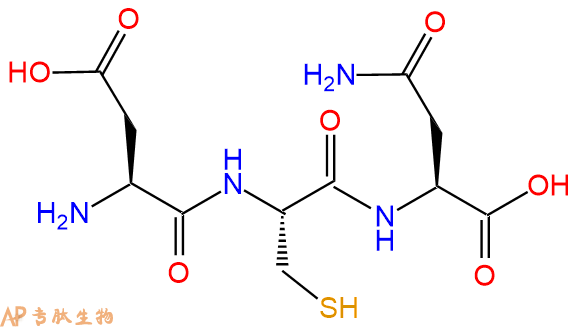 专肽生物产品三肽Asp-Cys-Asn