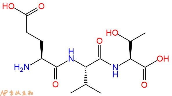 专肽生物产品三肽Glu-Val-Thr
