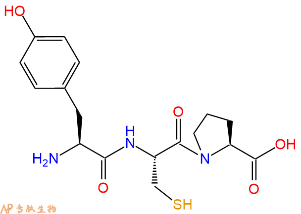 专肽生物产品三肽Tyr-Cys-Pro