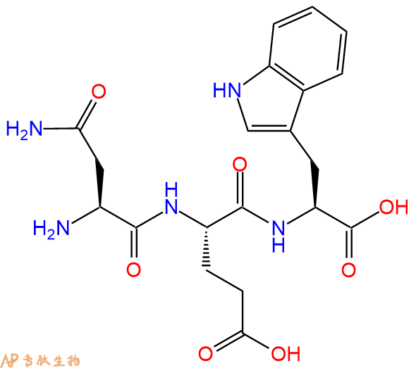 专肽生物产品三肽Asn-Glu-Trp