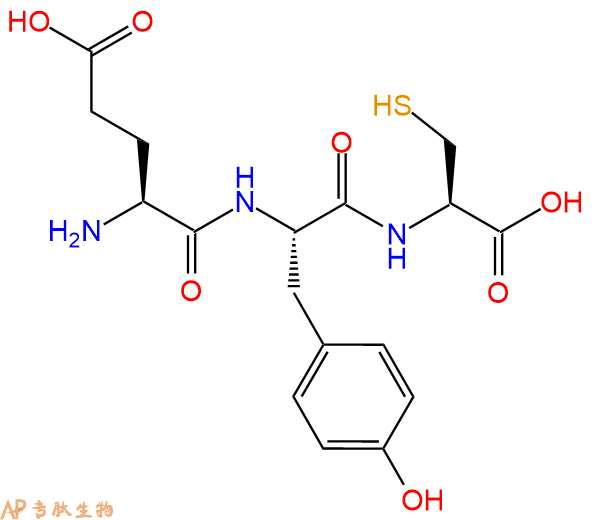 专肽生物产品三肽Glu-Tyr-Cys