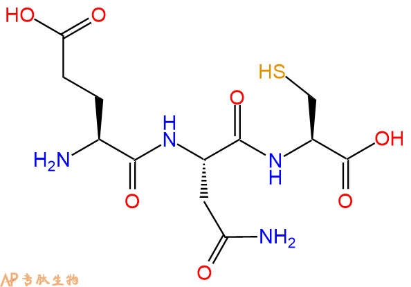 专肽生物产品三肽Glu-Asn-Cys