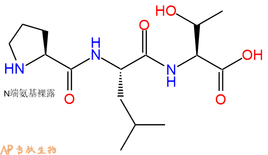 专肽生物产品三肽Pro-Leu-Thr