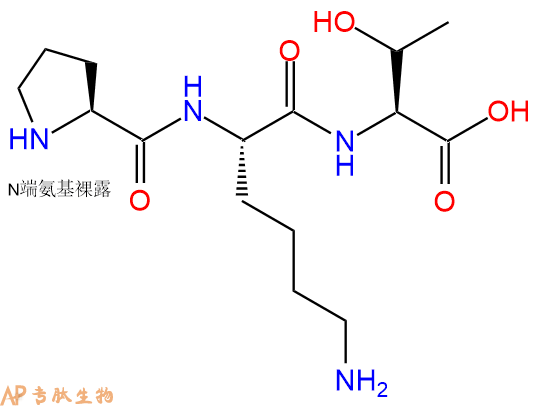 专肽生物产品三肽Pro-Lys-Thr