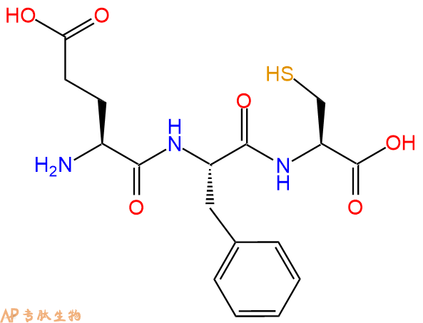 专肽生物产品三肽Glu-Phe-Cys