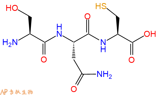 专肽生物产品三肽Ser-Asn-Cys