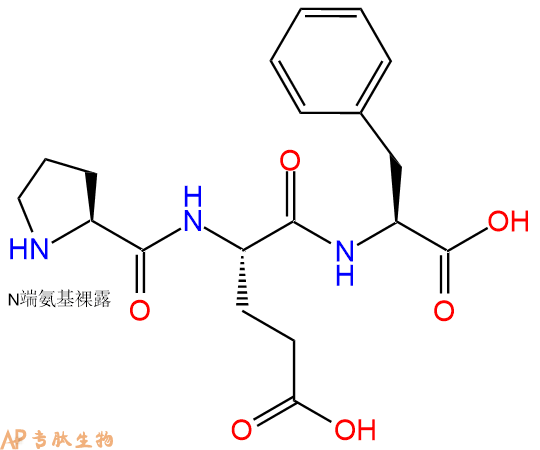专肽生物产品三肽Pro-Glu-Phe