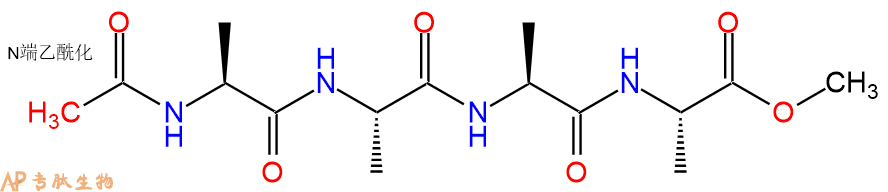 专肽生物产品四肽Ac-Ala-Ala-Ala-Ala-甲酯化30802-29-0