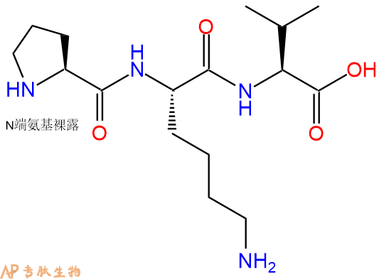 专肽生物产品三肽Pro-Lys-Val