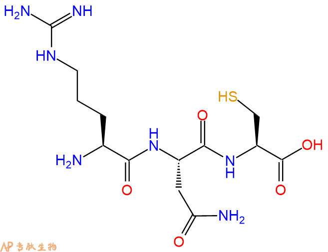 专肽生物产品三肽Arg-Asn-Cys