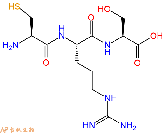 专肽生物产品三肽Cys-Arg-Ser