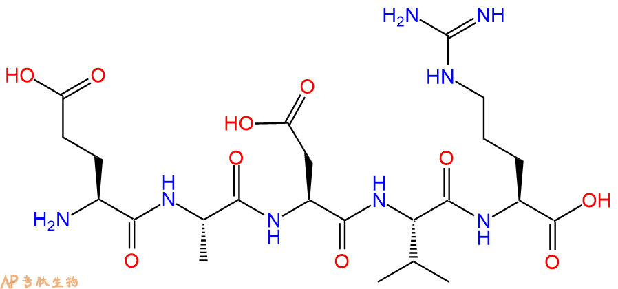 专肽生物产品五肽Glu-Ala-Asp-Val-Arg121274-51-9