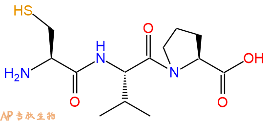 专肽生物产品三肽Cys-Val-Pro