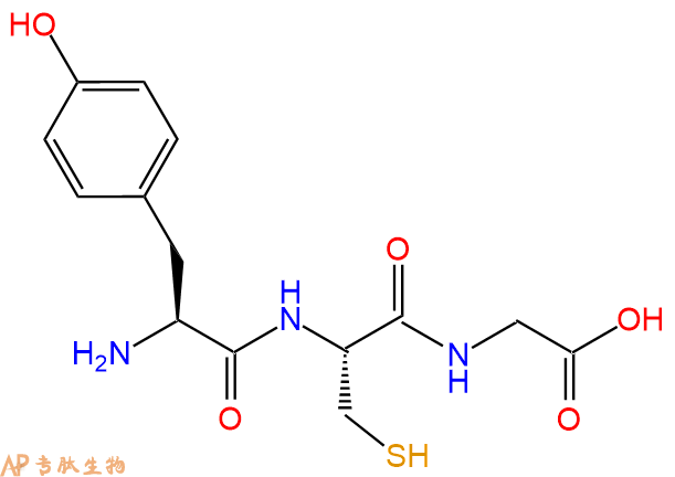 专肽生物产品三肽Tyr-Cys-Gly