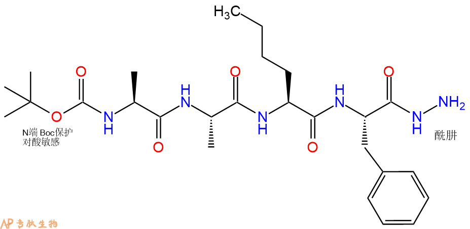 专肽生物产品四肽Boc-Ala-Ala-Nle-Phe-NH-NH2111334-43-1