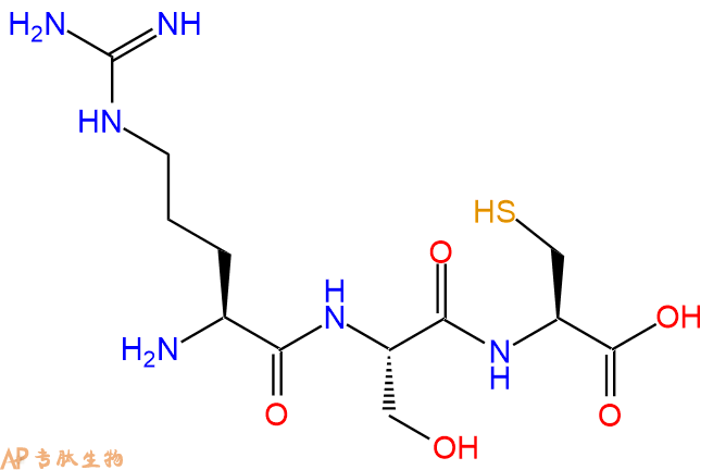 专肽生物产品三肽Arg-Ser-Cys