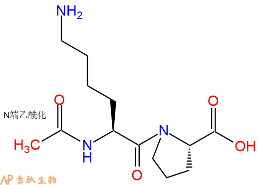 专肽生物产品二肽Ac-Lys-Pro