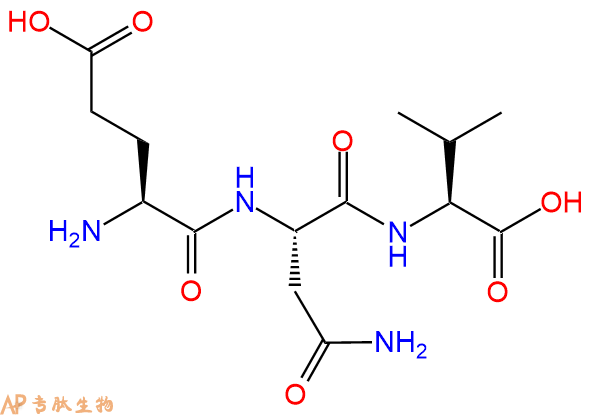 专肽生物产品三肽Glu-Asn-Val