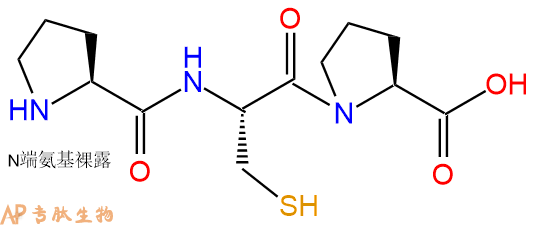 专肽生物产品三肽Pro-Cys-Pro